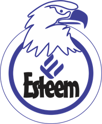 Esteem Eagle